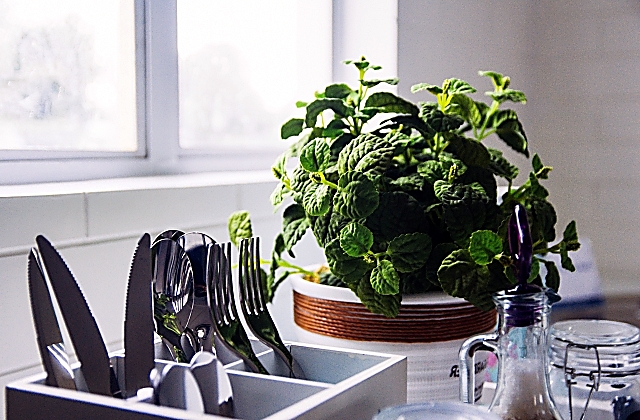 Kitchen Decoration